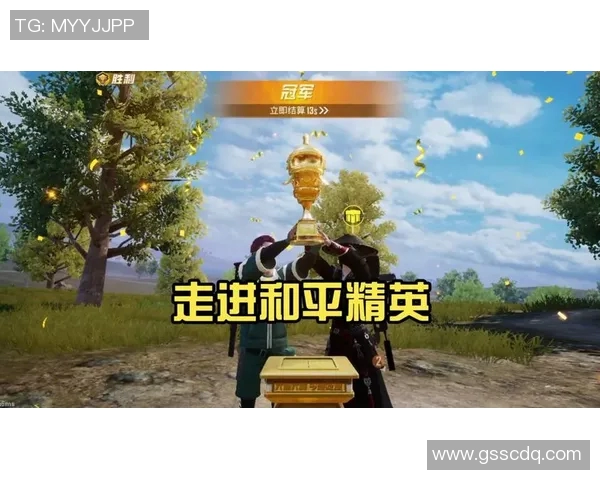 专访杨芳揭秘和平精英成功背后的策略与创新之路 专访杨芳揭秘和平精英成功背后的策略与创新之路