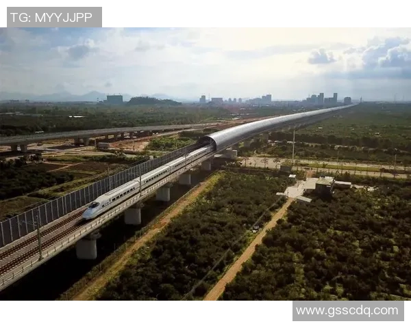 城市赛中LNG技术表现分析与点评探讨未来发展方向实时新闻